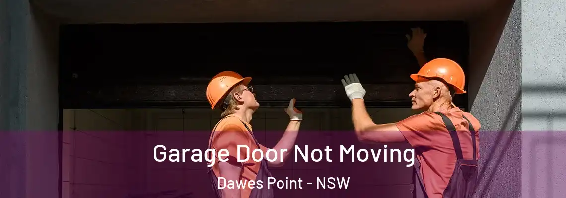  Garage Door Not Moving Dawes Point - NSW