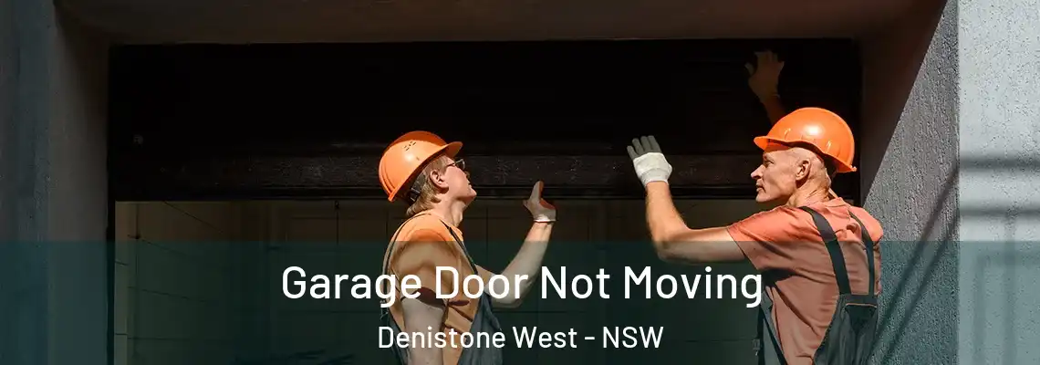  Garage Door Not Moving Denistone West - NSW