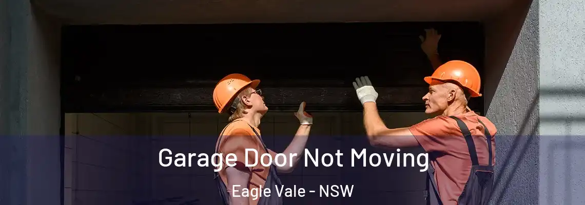  Garage Door Not Moving Eagle Vale - NSW