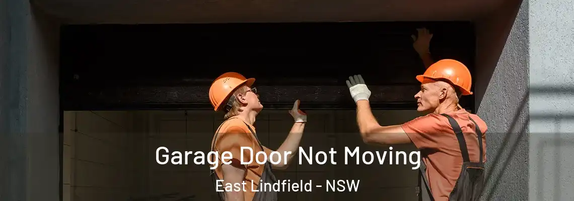  Garage Door Not Moving East Lindfield - NSW