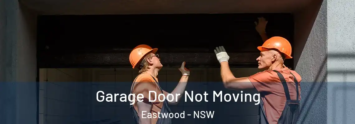  Garage Door Not Moving Eastwood - NSW