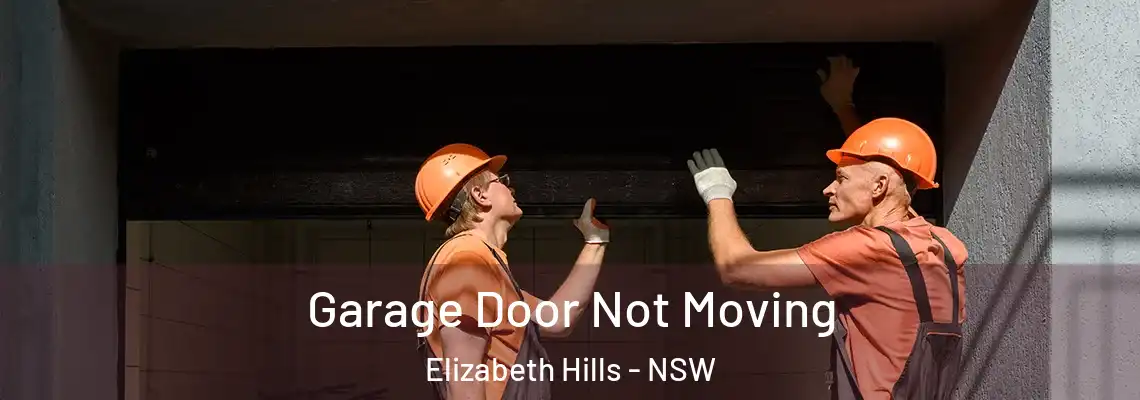  Garage Door Not Moving Elizabeth Hills - NSW