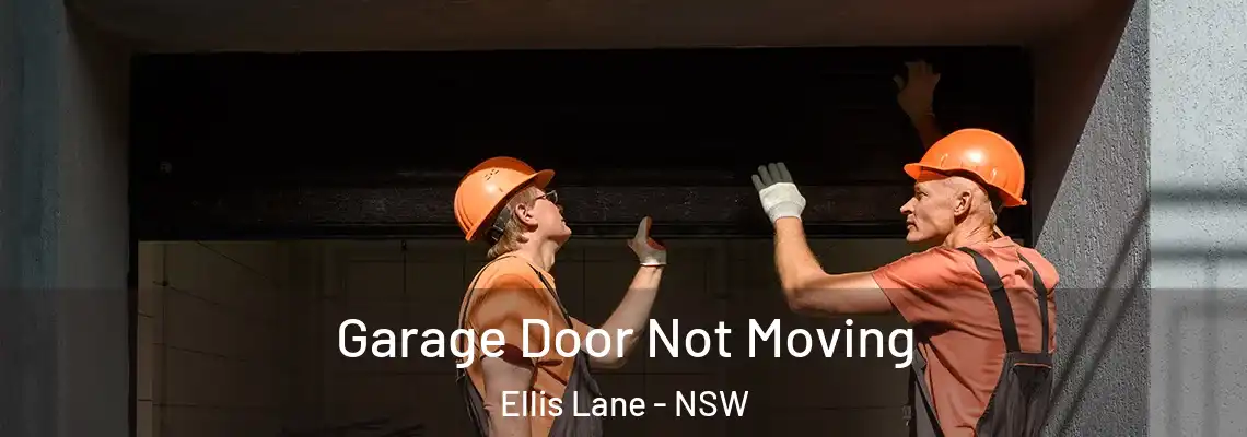  Garage Door Not Moving Ellis Lane - NSW