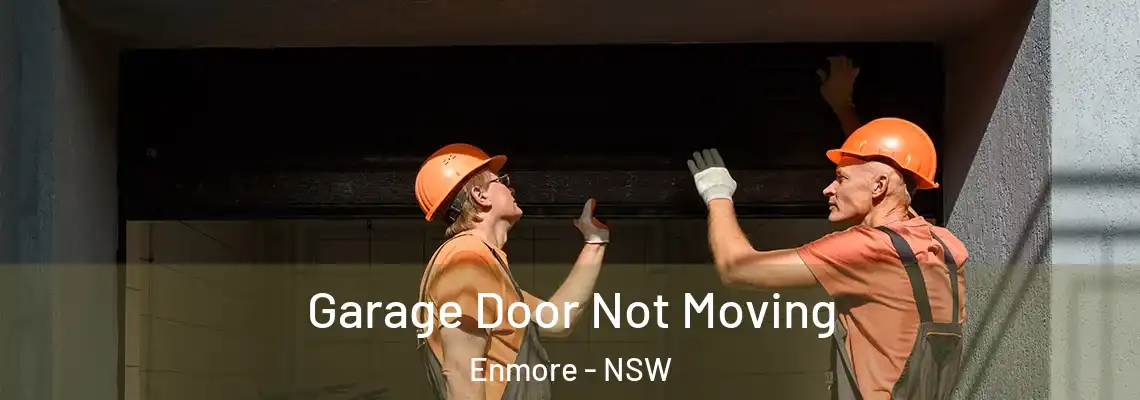  Garage Door Not Moving Enmore - NSW