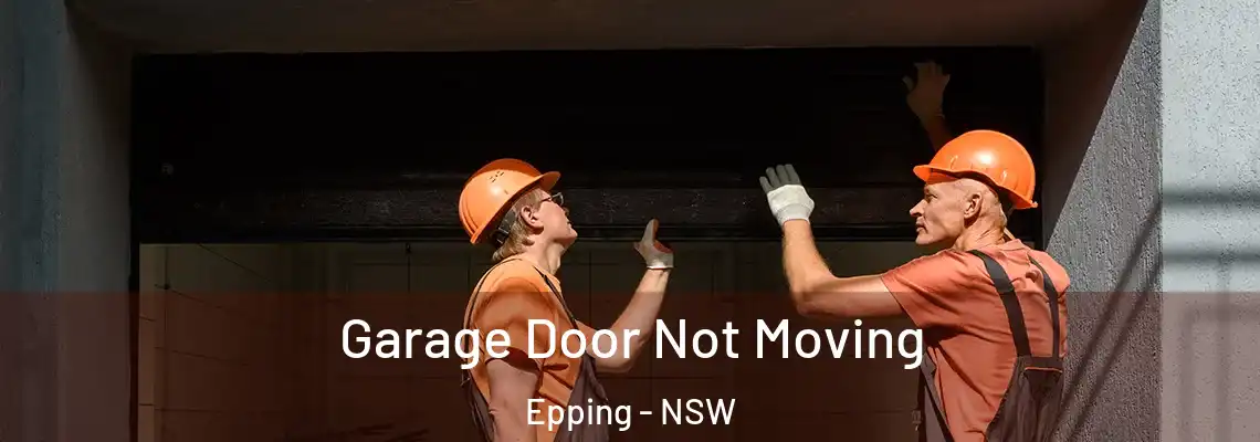  Garage Door Not Moving Epping - NSW