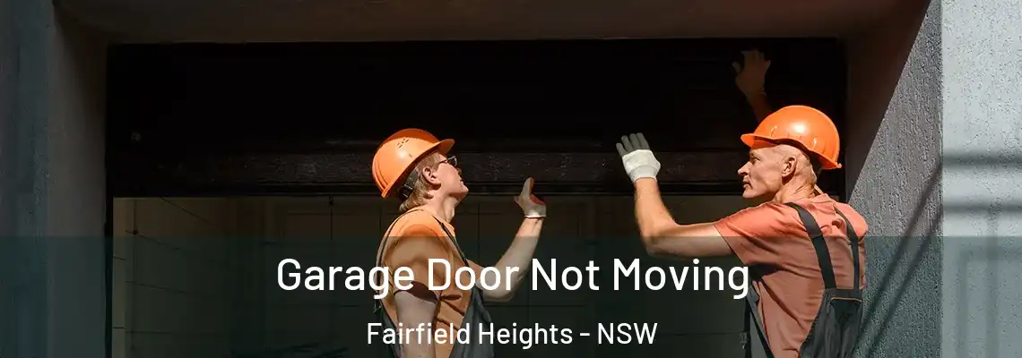  Garage Door Not Moving Fairfield Heights - NSW