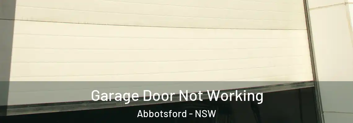  Garage Door Not Working Abbotsford - NSW