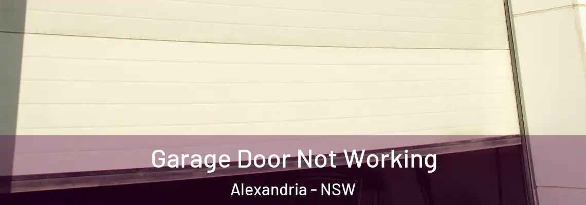  Garage Door Not Working Alexandria - NSW