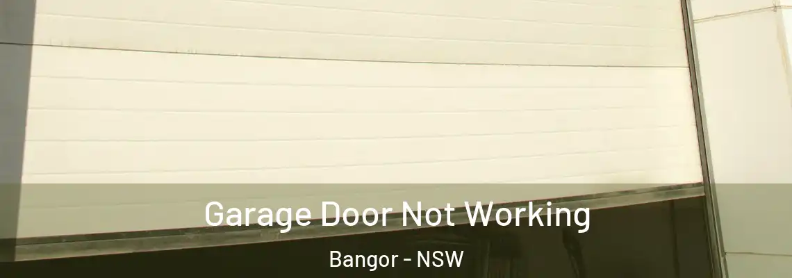 Garage Door Not Working Bangor - NSW