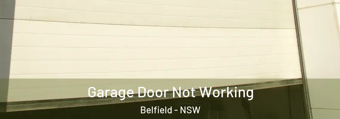  Garage Door Not Working Belfield - NSW