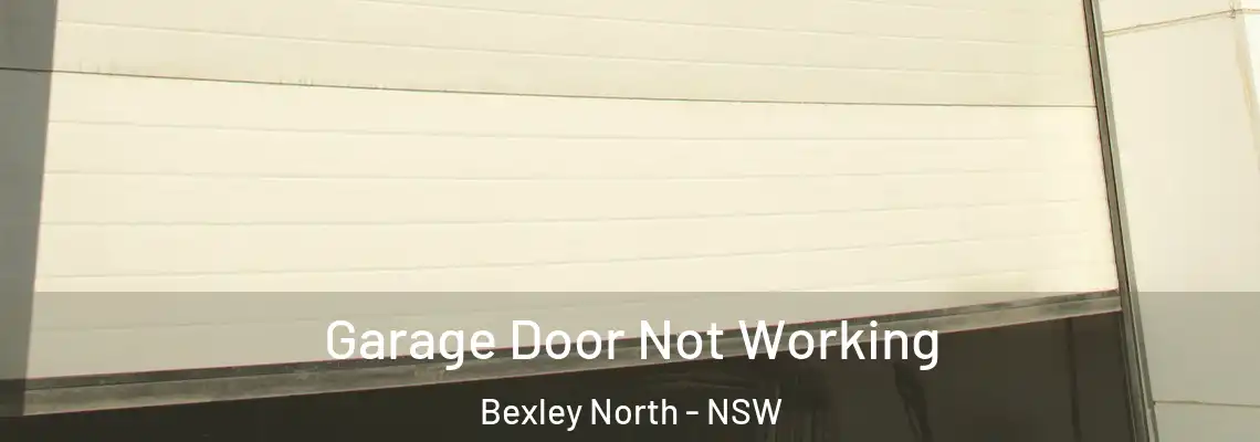  Garage Door Not Working Bexley North - NSW