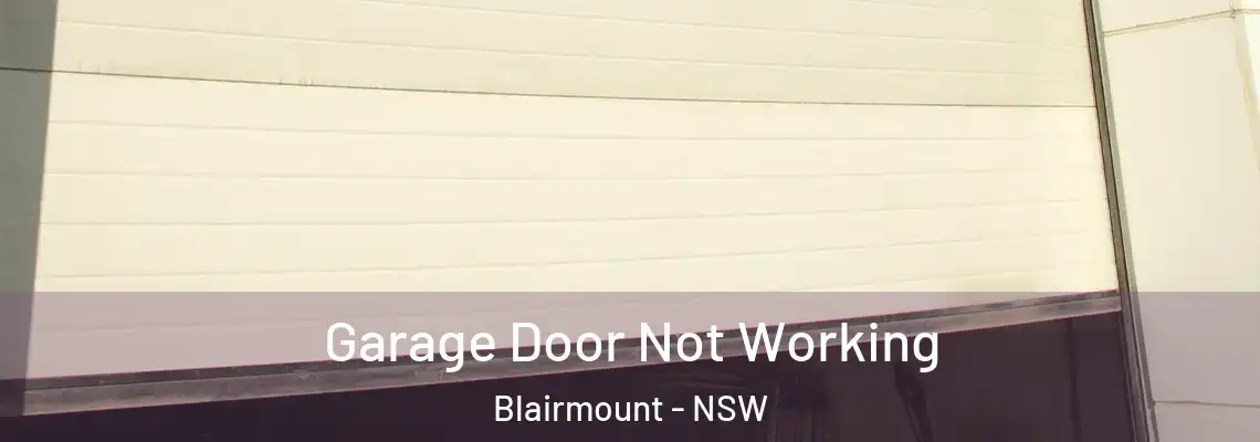  Garage Door Not Working Blairmount - NSW