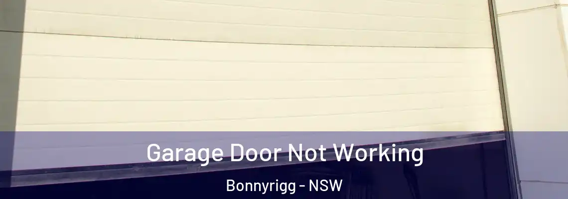 Garage Door Not Working Bonnyrigg - NSW