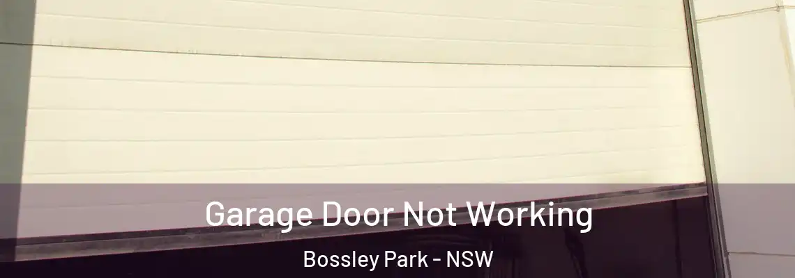  Garage Door Not Working Bossley Park - NSW