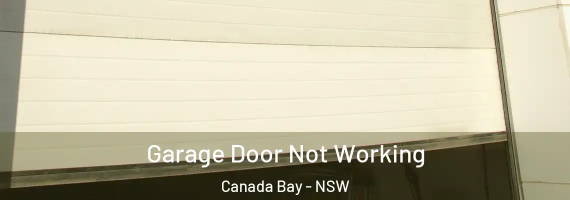 Garage Door Not Working Canada Bay - NSW