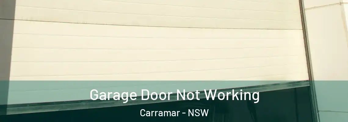  Garage Door Not Working Carramar - NSW