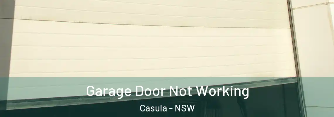  Garage Door Not Working Casula - NSW