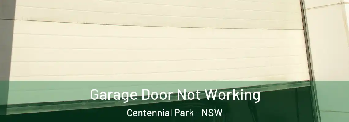  Garage Door Not Working Centennial Park - NSW