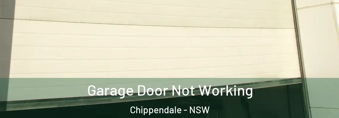  Garage Door Not Working Chippendale - NSW