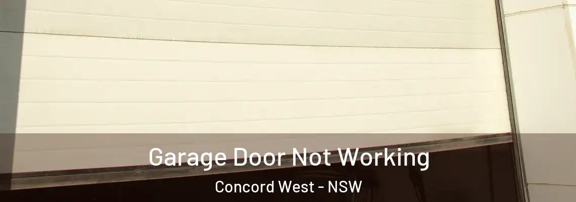  Garage Door Not Working Concord West - NSW