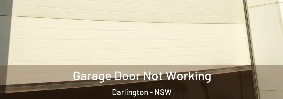  Garage Door Not Working Darlington - NSW