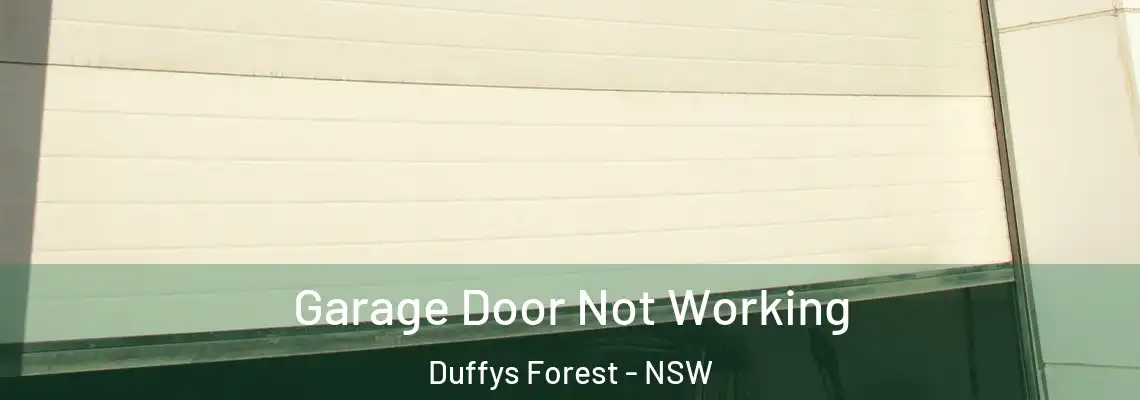  Garage Door Not Working Duffys Forest - NSW