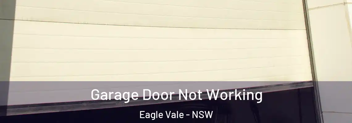  Garage Door Not Working Eagle Vale - NSW