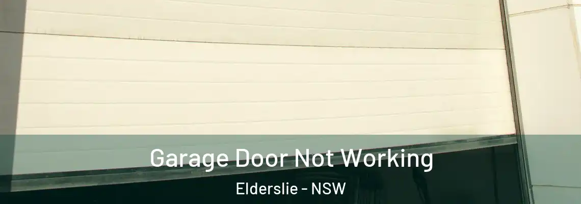  Garage Door Not Working Elderslie - NSW
