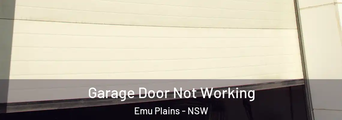 Garage Door Not Working Emu Plains - NSW