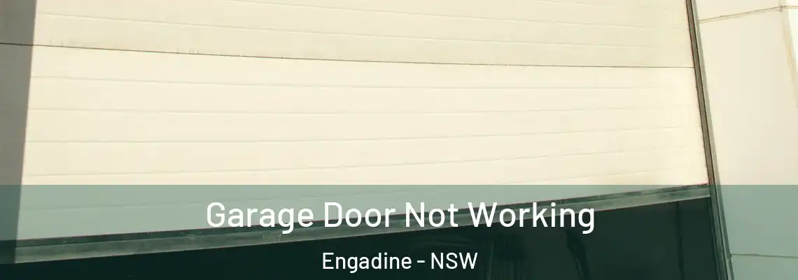 Garage Door Not Working Engadine - NSW