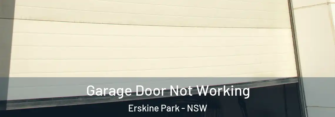 Garage Door Not Working Erskine Park - NSW