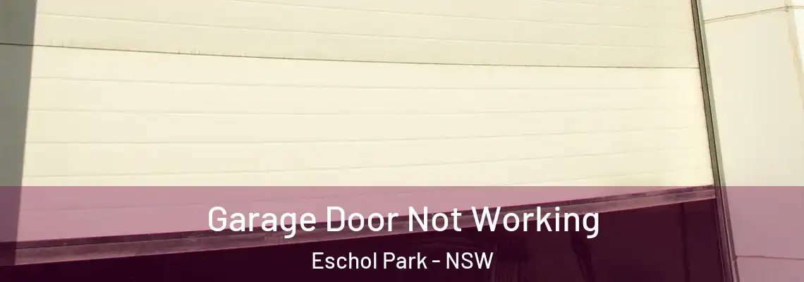  Garage Door Not Working Eschol Park - NSW