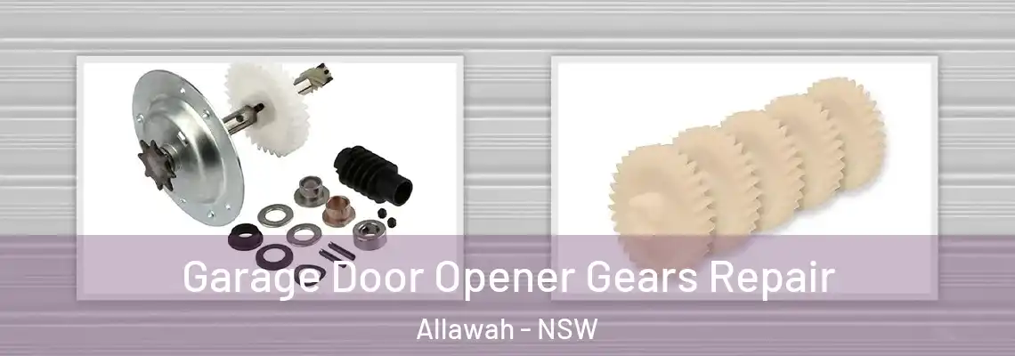  Garage Door Opener Gears Repair Allawah - NSW