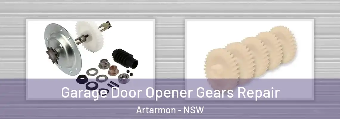  Garage Door Opener Gears Repair Artarmon - NSW