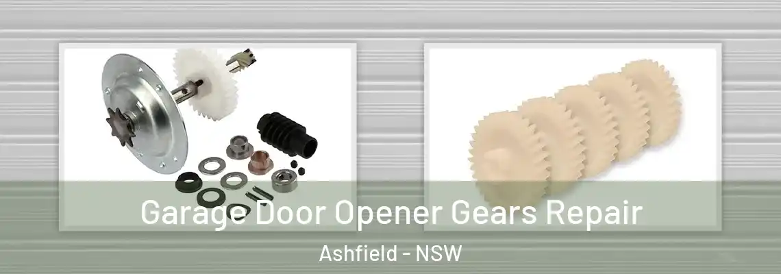  Garage Door Opener Gears Repair Ashfield - NSW