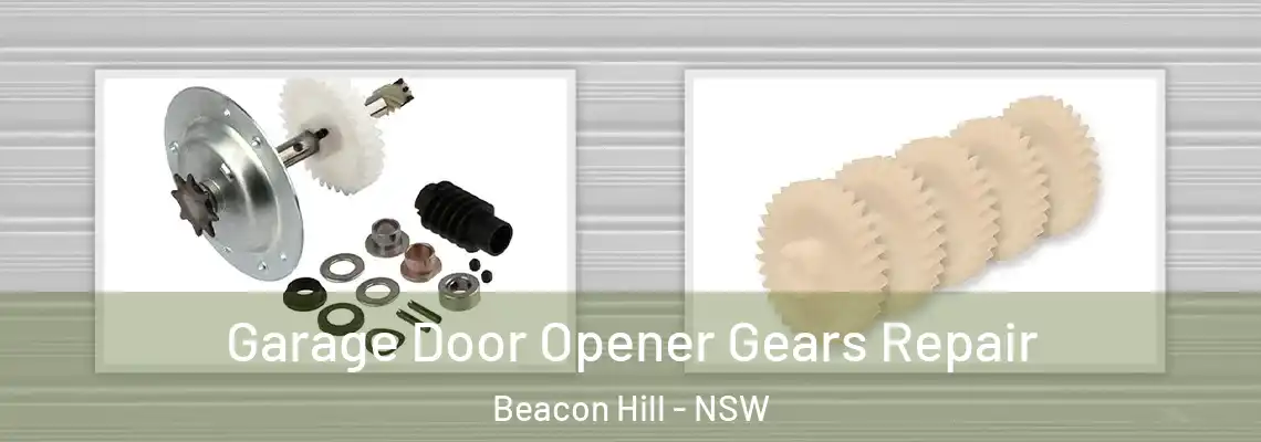  Garage Door Opener Gears Repair Beacon Hill - NSW