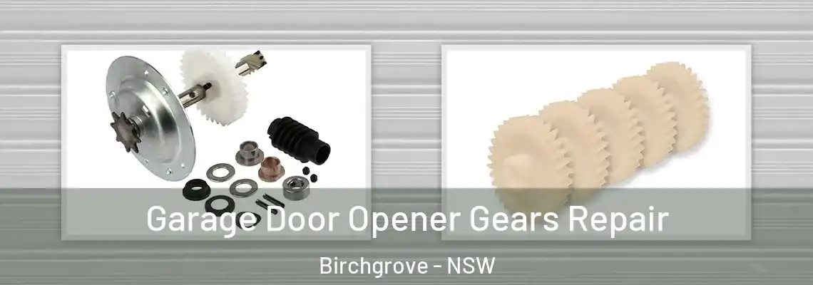  Garage Door Opener Gears Repair Birchgrove - NSW