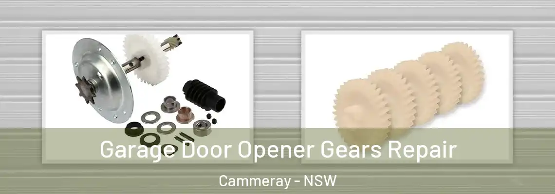  Garage Door Opener Gears Repair Cammeray - NSW