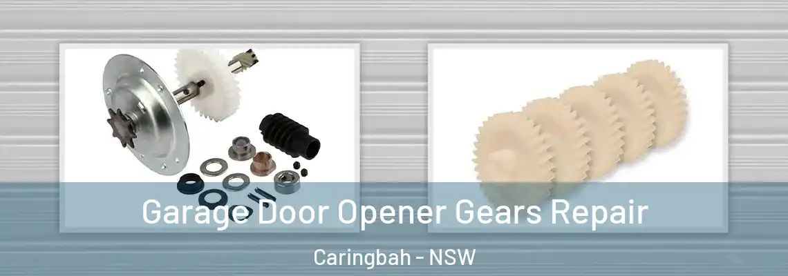  Garage Door Opener Gears Repair Caringbah - NSW