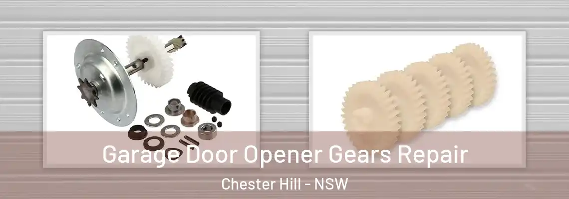  Garage Door Opener Gears Repair Chester Hill - NSW