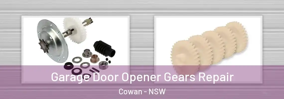  Garage Door Opener Gears Repair Cowan - NSW