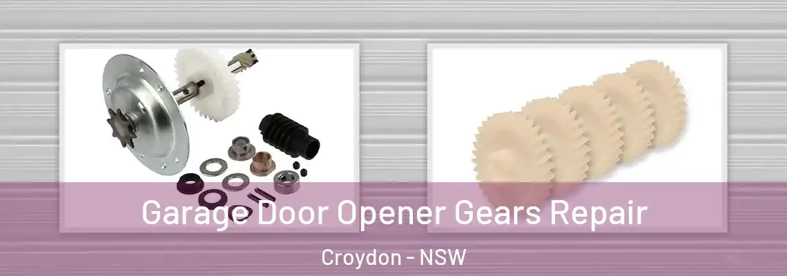  Garage Door Opener Gears Repair Croydon - NSW