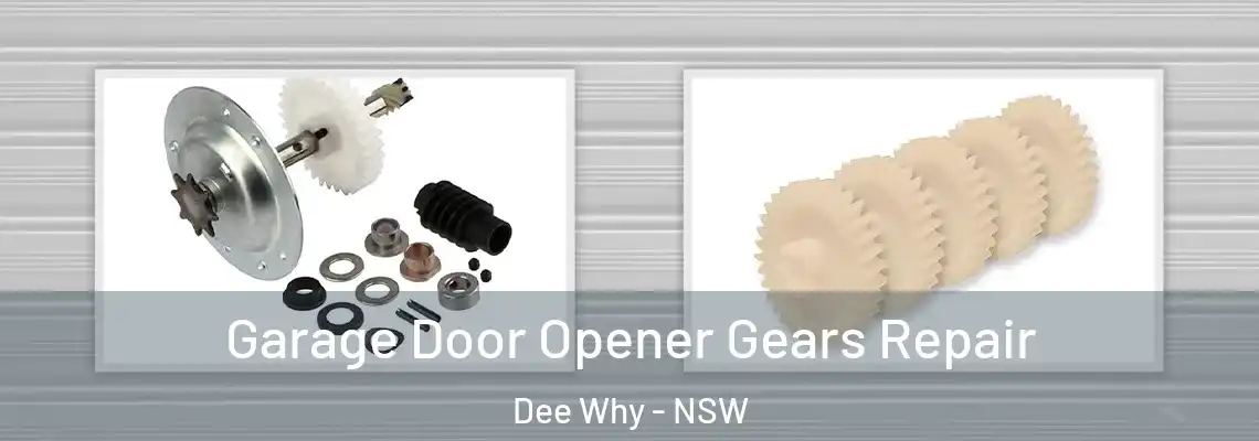  Garage Door Opener Gears Repair Dee Why - NSW
