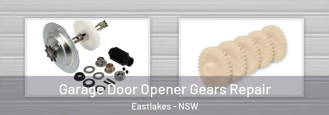  Garage Door Opener Gears Repair Eastlakes - NSW