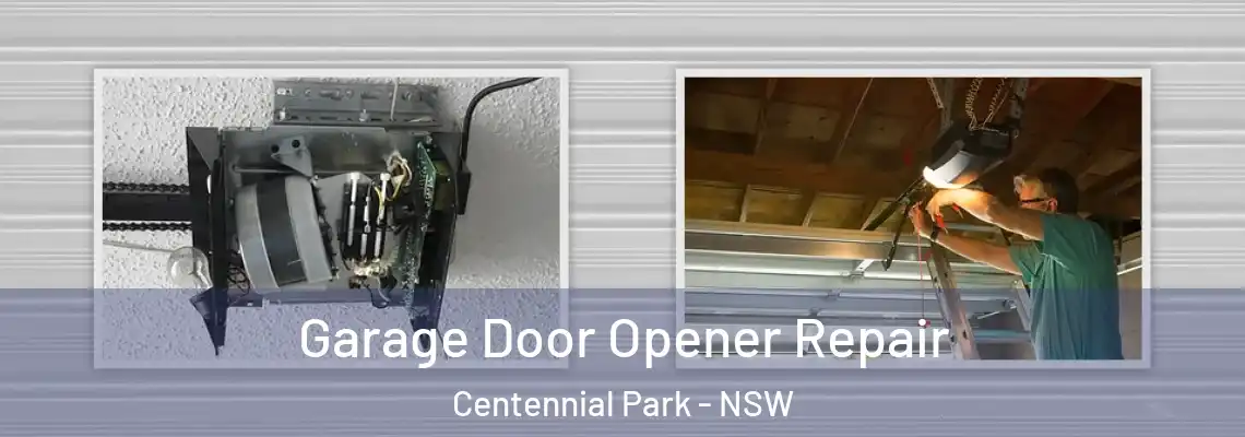  Garage Door Opener Repair Centennial Park - NSW