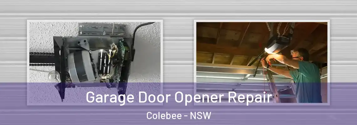 Garage Door Opener Repair Colebee - NSW