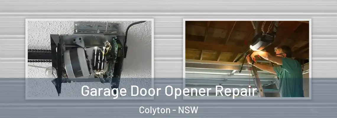  Garage Door Opener Repair Colyton - NSW