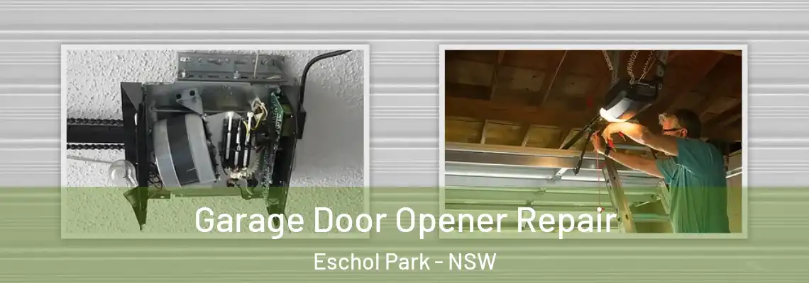  Garage Door Opener Repair Eschol Park - NSW