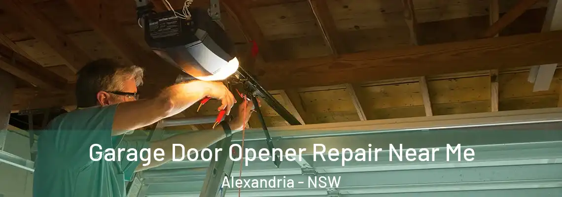  Garage Door Opener Repair Near Me Alexandria - NSW