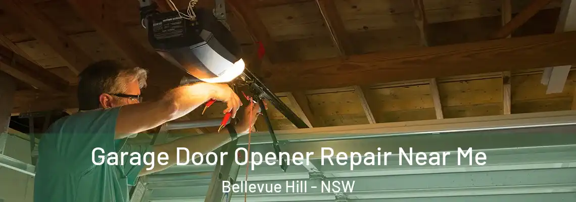  Garage Door Opener Repair Near Me Bellevue Hill - NSW